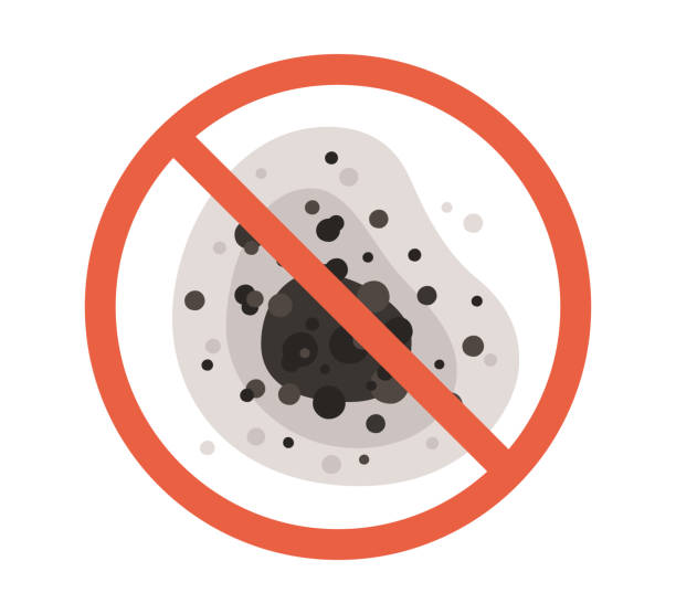 Best Environmental Consulting for Mold Prevention  in Kure Beach, NC