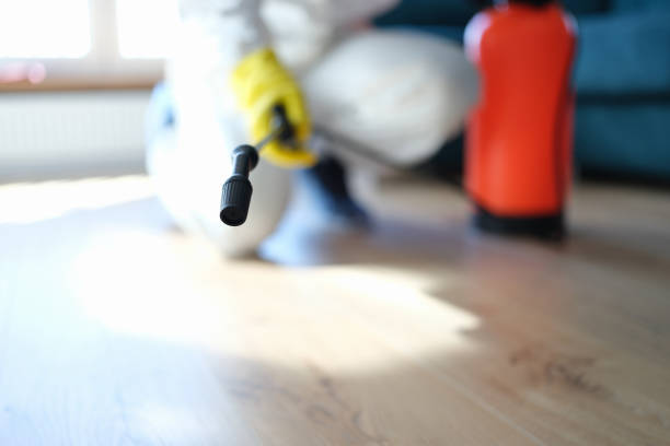 Best Biohazard Mold Removal  in Kure Beach, NC
