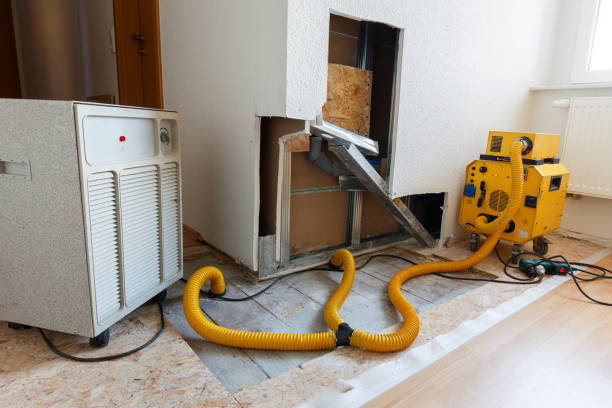Best Black Mold Removal  in Kure Beach, NC